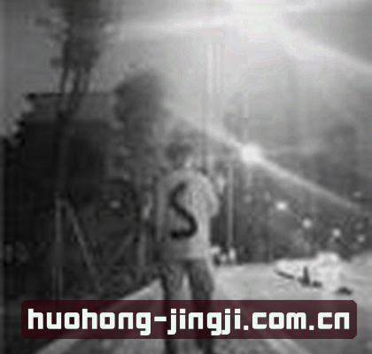 阿丽
